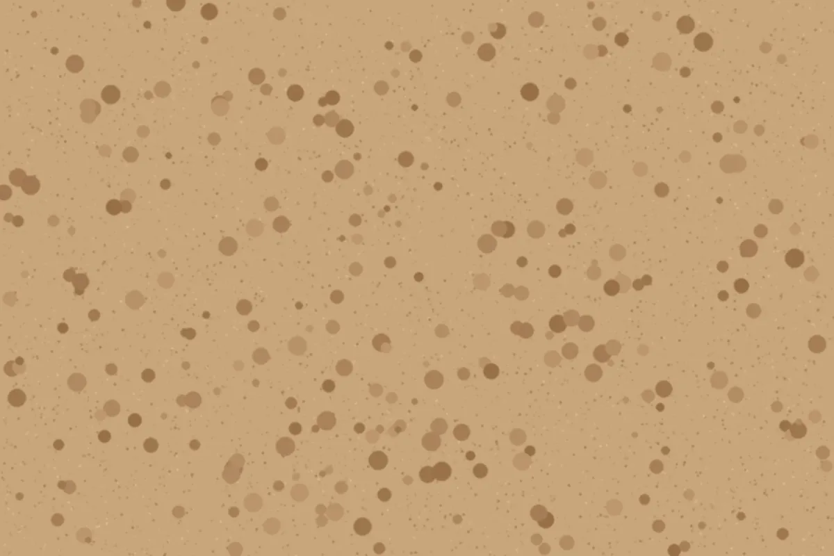 Cork